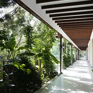 The Lifeco Bodrum Well-being Detox Center And Vegan (adults Only) Otel